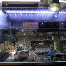 와우펫앤쥬 부산점 이미지