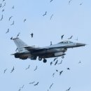 새만금 철거 이미지