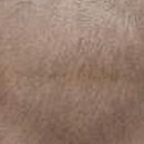 닥터문의원 이미지