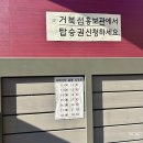 거북섬 해로토로호 이미지