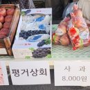 부림상회 이미지