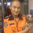 돈암119안전센터 이미지