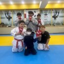 봉황태권도체육관 네이버블로그