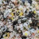 족발의 장인족장(정관점) 이미지