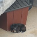 카페서천담 이미지