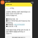 더 드리밍 이미지