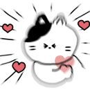 창원1907풋볼스포츠클럽