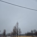 자라섬캠핑장 중도-1 | 겨울 가평 자라섬 방문 후기_비추천 이유와 추천 시기 총정리