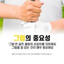 아피체골프