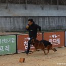 Gumiland Daum카페