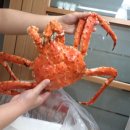 선어 이미지