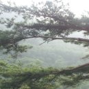 [기획강좌] 어른의 철학  고전멘토 행복한 「논어」 읽기 | 독서목록(1권~365권)