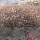 윤영농장 이미지