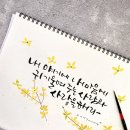 일상의 캘리그라피 이미지