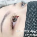 바이라나