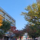 반림노블공인중개사사무소 이미지