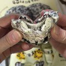 파이플러스 | 옥동자찰떡파이 옥동자 크런키 홈플러스 품절대란템 솔직 후기