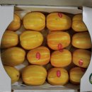 늘푸른청과 이미지