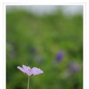 화원목장 이미지