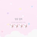 루비펫 이미지