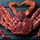 세종회수산 이미지