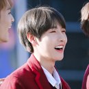 제주코리아 이미지