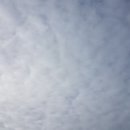 신암1리 | [2020년 02월29일]_신암1리방파제_외항_감성돔원투낚시