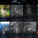 (주)셀포인트 이미지