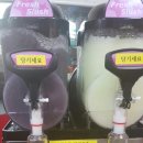예스맘토스트
