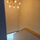 멀왓스테이 이미지