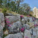 한양수자인우린공인중개사사무소 이미지