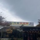 도리골토종닭 | 제주 도민 맛집 추천 - 도리골토종닭 닭백숙 후기