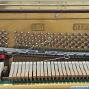 에릭한유치원 이미지