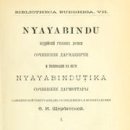 [책] 니야야빈두(正理一滴論 Nyāya-bindu) - 법칭(法稱 Dharmakirti) 이미지