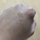아모르리베르띠