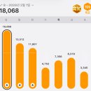 2월의 후쿠오카 가족 여행 2, 쇼핑리스트 텐진 캐널시티 로피아마트포장