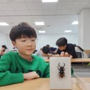 11545-10-25-18 | ● 곤충표본 만들기 체험 (25. 10. 18. 토) 후기 ●