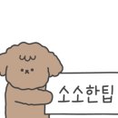 현풍닭칼국수 상인점 네이버블로그