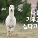 피아이에프