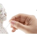 허씨삼대한의원 이미지