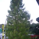 통일로 726번길 이미지