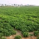 옥서2길 이미지