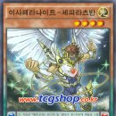 테라넷 이미지