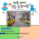 흐드러지다