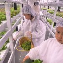 초록빛유치원 | 1월, 아이들과 함께한 초록빛 하루 순천 스마트팜 체험 후기