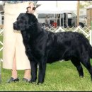 베스트랩 이미지