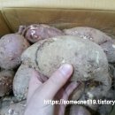 상마농장 티스토리