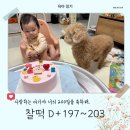 성누가재활의학과의원 | 찰떡일기 (46) :: D+197~203 태어난지 200일 축하해🩷│오랜만의 외갓집 Day│365아이맘의원 2차 영유아검진