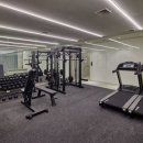 맹그로브신설 이미지