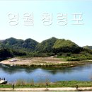 영월-50